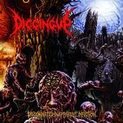 Disseminated Inapparent Infection by Digging Up