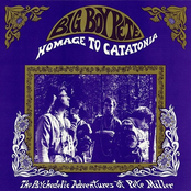 Homage to Catatonia: The Psychedelic Adventures of Pete Miller