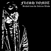 Birthed from the Inferno Winds