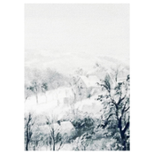 The Majestic Purity of Winter