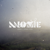 Anomie