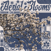 Aerial Blooms