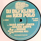 Bass Down Lower