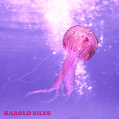 Harold Siles