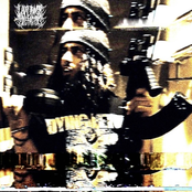 LIVE FAST, DIE FASTER