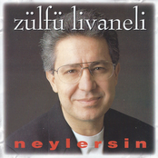 Neylersin by Zülfü Livaneli