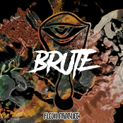 Brute