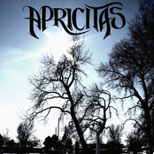 Apricitas