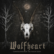 Wolfheart: Constellation of the Black Light