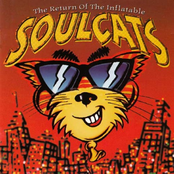 Soulcats – The Return Of The Inflatable Soulcats