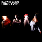 The Devil's Crayon by Wild Beasts