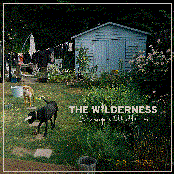 Strangers I Used to Love