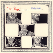 Easy Beat by Dr. Dog