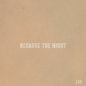 Because the Night