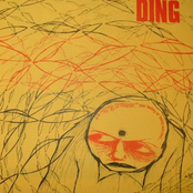 Ding