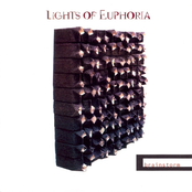 No Tears by Lights Of Euphoria