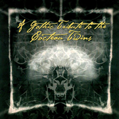 Dark Treasures: A Gothic Tribute To The Cocteau Twins