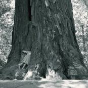 muir woods national monument