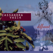 Anything You Want by Cassandra Vasik