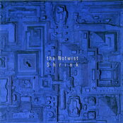 Another Planet by The Notwist