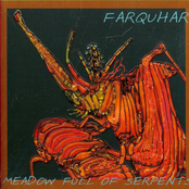 Meadow Full Of Serpents