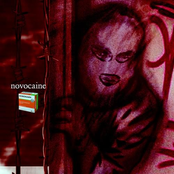 novocaine