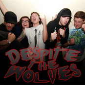 Despite The Wolves