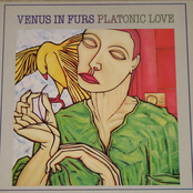 That First Wild Kiss by Venus In Furs