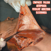 Lymphatic Phlegm / Autophagia / Feculent Goretomb / Ulcerrhoea - 4 Way Split CD