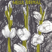 Fight For A Little by Mecca Normal