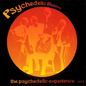 The Psychedelic Experience, Volume 3 (Psychedelic Illusions)