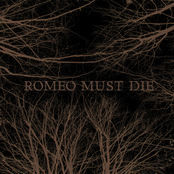 Romeo Must Die