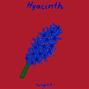 Hyacinth