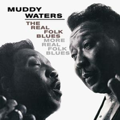 Landlady by Muddy Waters