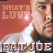 fat joe feat. ja rule & ashanti