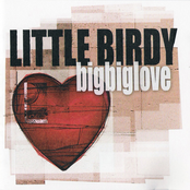 Tonight's The Night by Little Birdy