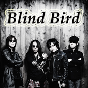 blind bird