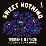 Sweet Nothing (feat. Ebony Rose) - Single