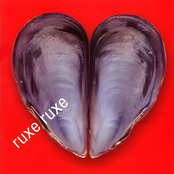 A terra dos comentos