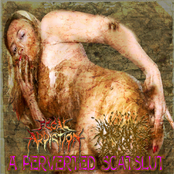 A Perverted Scatslut - Split