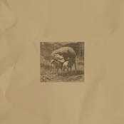 flowers made from wool