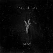 Withdrawn Into Dusk by Satori Ray