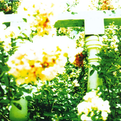 unwed sailor: Little Wars