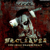 The First Experiment