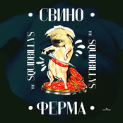 Свиноферма