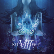Solidcore VIII