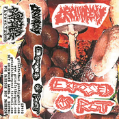 Exposed As Rot ‎/ Orchiopexy