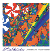 The Crash That Took Me-Orchestrated Kaleidoscopes
