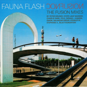 Free (salvador Group Remix) by Fauna Flash