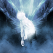 Where Does The Light Get In?